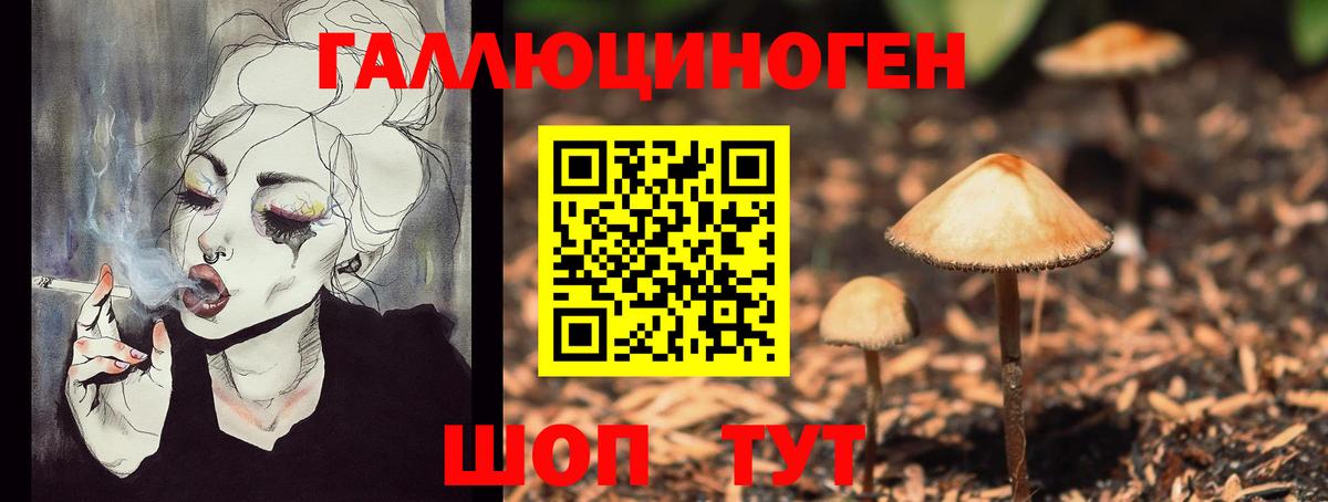 Галлюциногенные грибы Psilocybe  Вход с VPN  Норильск  Галлюциногенные грибы прущие грибы 