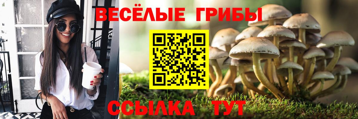 Псилоцибиновые грибы Magic Shrooms Норильск